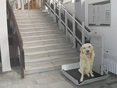 犬用階段昇降機